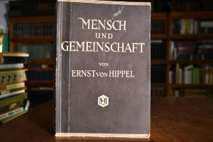 Mensch und Gemeinschaft. Die Stufen des politis...