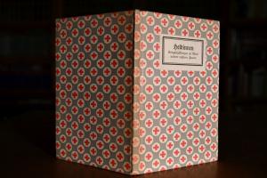 Heldinnen. Kriegserzählungen zu Ehren unserer t...