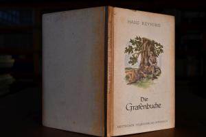 Die Grafenbuche. Erzählung.