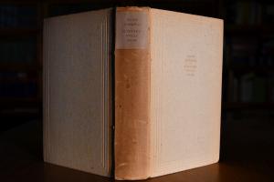 Schmerzvolle Reise. Roman.