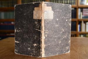 Anleitung zur Pferdezucht für den kleinen Grund...