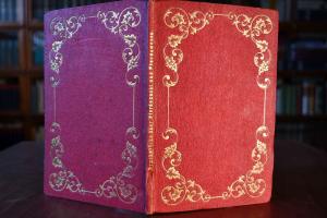 Bruchstücke über Pferdezucht und Pferdewesen, ü...