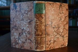 William Gibsons Abhandlung von den Krankheiten ...