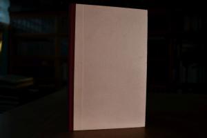 Aus der Renncampagne des Jahres 1902. Auf Grund...