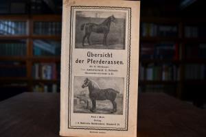 Übersicht der Pferderassen.
