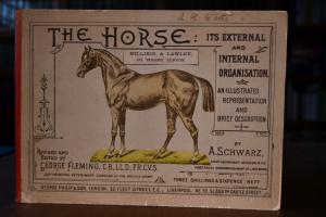 The Horse Its External and Internal Organisatio...