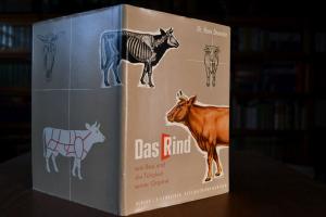 Das Rind. Sein Bau und die Tätigkeit der Organe...