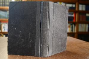 Johann Ludwig Fricker, ein Lebensbild aus der K...