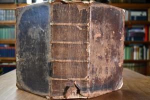 Die Bibel oder die ganze Heilige Schrift des Al...