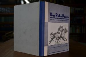 Des Polo-Ponys Erziehung und Ausbildung.
