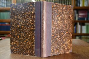 Untersuchungen über die Psychologie der Tiere. ...