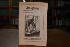 Schwarzfellchen. Denkwürdigkeiten eines Pferdes...