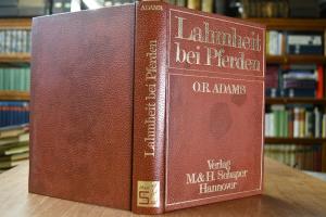 Lahmheit bei Pferden.