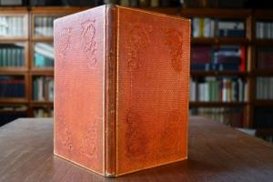 Das Gangwerk der Pferde. Ein Beitrag zur Beurth...