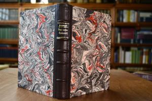 Der arme Heinrich. Eine deutsche Sage.