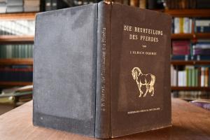 Die Beurteilung des Pferdes.