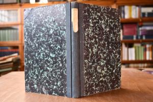 Geschichte der Pfalz.