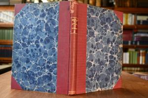 Der Feldzug der 9. Armee gegen die Rumänen und ...