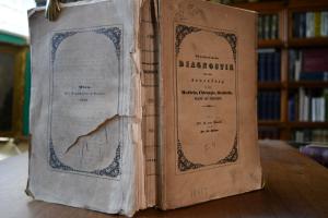 Physikalische Diagnostik und deren Anwendung in...