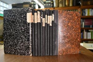 Die Irrenpflege. Monatsschrift für Irren- und K...