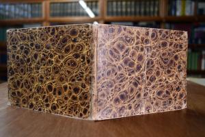 Der Lebenslauf eines Pferdes in lithographierte...