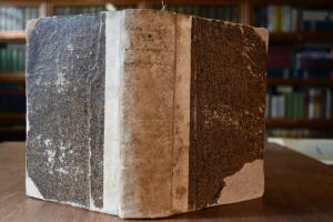 Die Ehre und Lehre Der Augspurgischen Confessio...