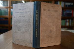 Das Nibelungenlied. Schul-Ausgabe mit einem Wör...