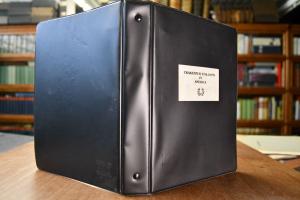 Trakehner Stallions in America.