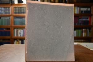 Panegyrin Medicam A.D. V. Jun. MDCCXCV in Audit...