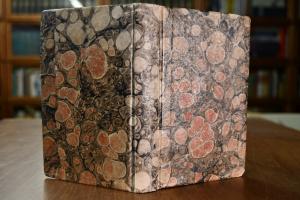 Allemannische Gedichte. Für Freunde ländlicher ...