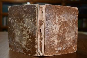 Allemannische Gedichte. Für Freunde ländlicher ...