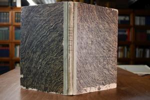 Briefe Schillers und Goethes an A.W. Schlegel a...