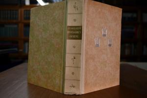 Hofdamen-Briefe um Habsburg und Wittelsbach (18...