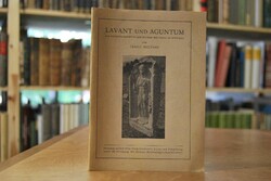 Lavant und Aguntum. Die frühgeschichtlichen Rui...