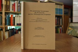 Die gesetzlichen Vermutungen des Privatrechts u...