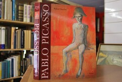 Pablo Picasso. Metamorphosen des Menschen. Arbe...