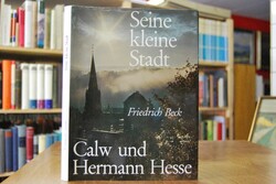Seine kleine Stadt. Calw u. Hermann Hesse.