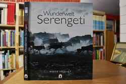 Wunderwelt Serengeti.