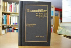 Traumbilder des Schlaf- und Wachzustandes. Eine...