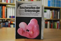 Taschenatlas der Embryologie. Nesseltiere, Weic...