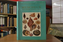 Muscheln und andere Schalentiere.