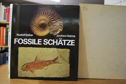 Fossile Schätze. Aus Museen u. Sammlungen.