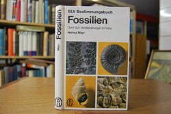 Fossilien. Über 500 Versteinerungen in Farbe.