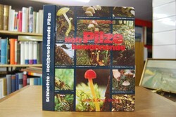 Holzbewohnende Pilze. 240 Arten in Farbe.