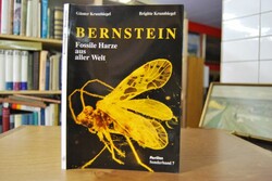 Bernstein. Fossile Harze aus aller Welt. Geschi...