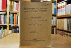 Zur Stratigraphie und Faciesbildung im Oberemsc...