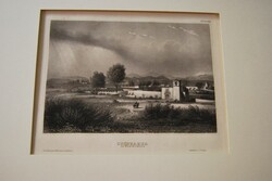 Chihuahua in New-Mexico.