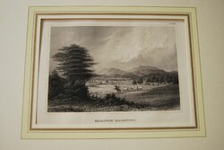 Savannah (Mosquito).