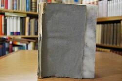 Herkules travestirt in sechs Büchern von Blumau...