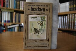 Schreibers kleiner Atlas der Insekten, Tausendf...